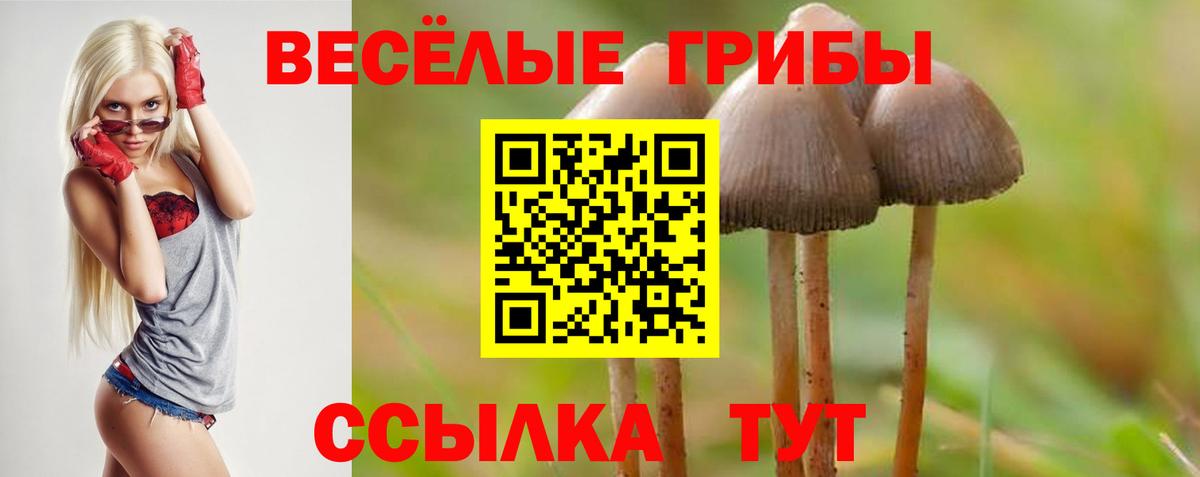 Галлюциногенные грибы Magic Shrooms  Псилоцибиновые грибы прущие грибы  Джанкой  Вход с VPN 